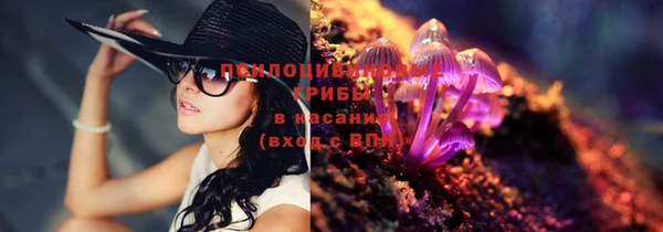 ешки Иннополис