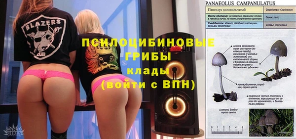 ешки Иннополис