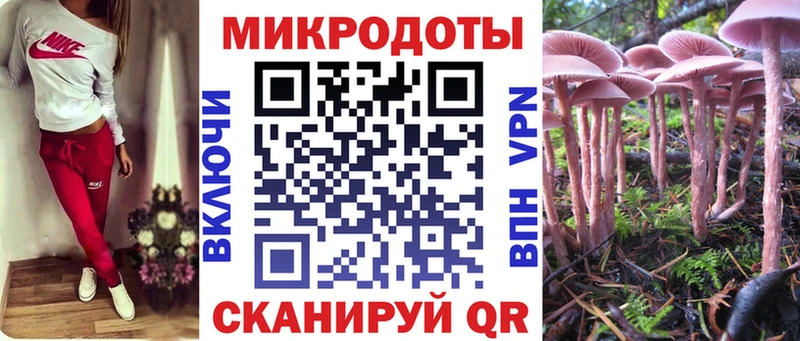 Псилоцибиновые грибы MAGIC MUSHROOMS  Купить закладки  Гагарин 